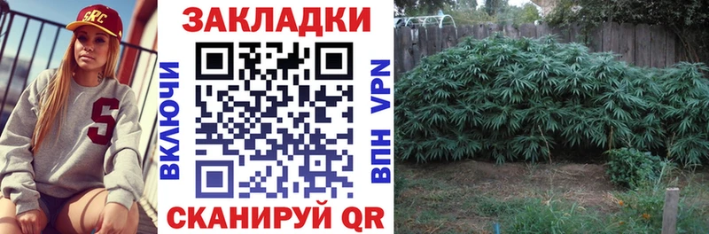 Где купить наркоту Дзержинский Бошки Шишки  Мефедрон  Alpha-PVP  ГАШИШ 