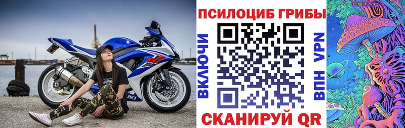mega рабочий сайт Дзержинский Псилоцибиновые грибы Psilocybe купить